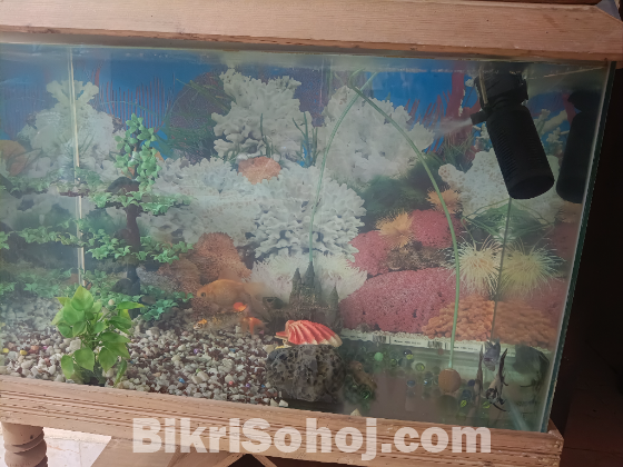 Aquriam ৩০ইঞ্চি /১৫ইঞ্চি